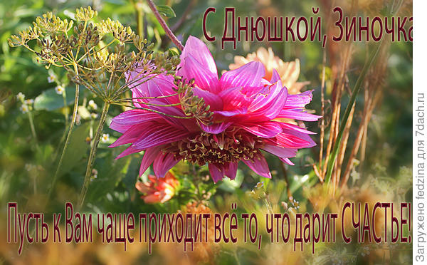 Счастья и удачи!