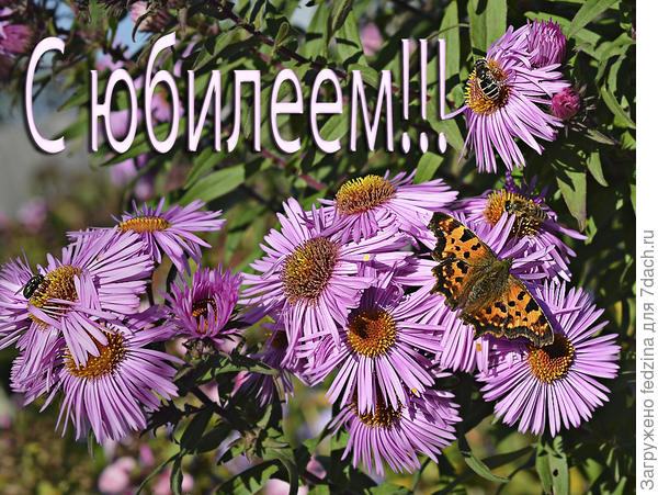 Бабочка октября