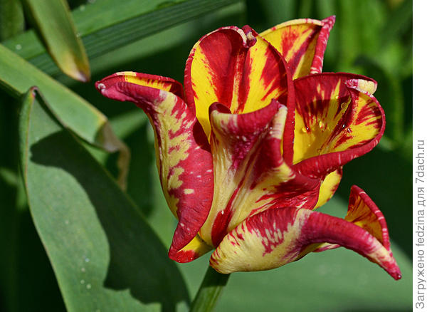 Удачного поиска!