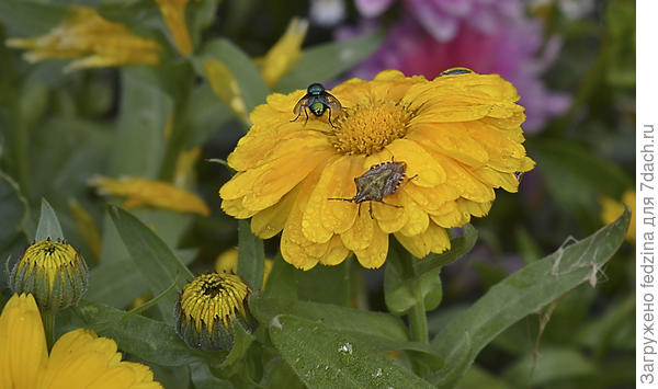 Столик на двоих на ноготке