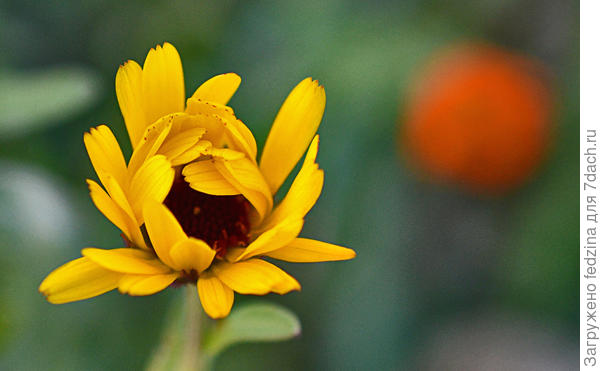 Завтра распущусь...