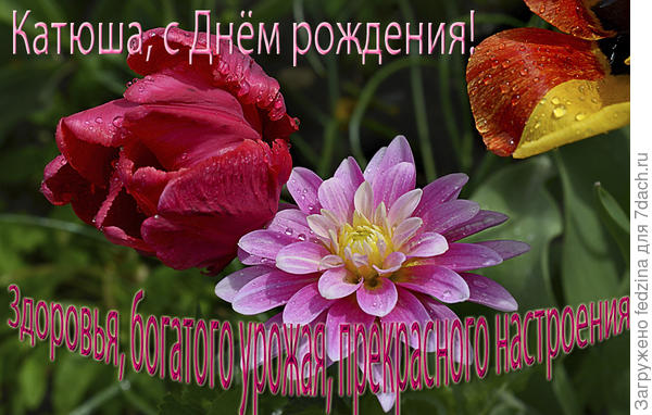 Пусть в жизни будет всё прекрасно!