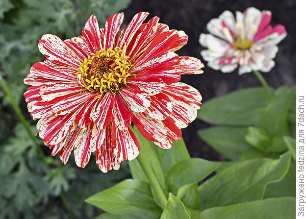 Пепермит стик