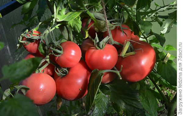 Третьяковский 14 октября