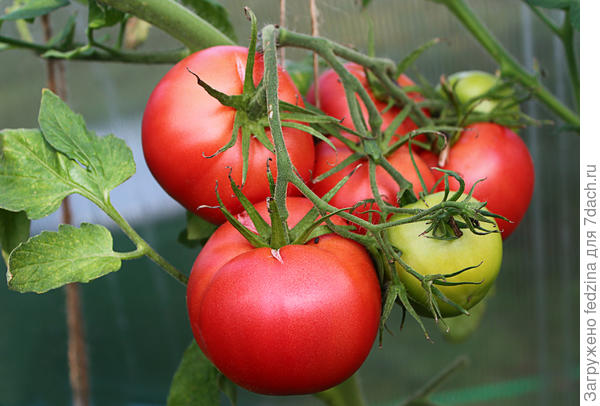 Третьяковский