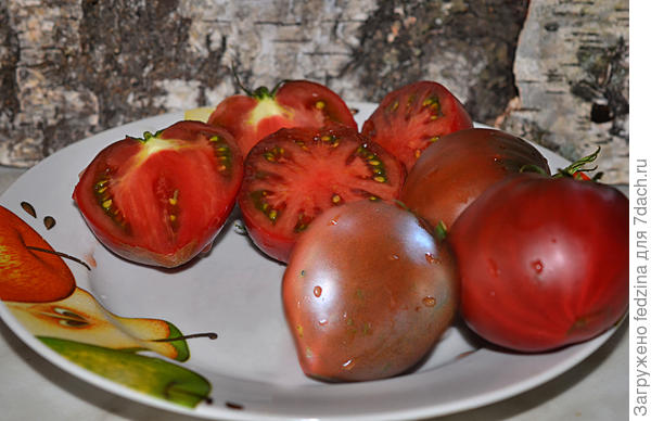 Пурпурное Сердце  Purple Heart