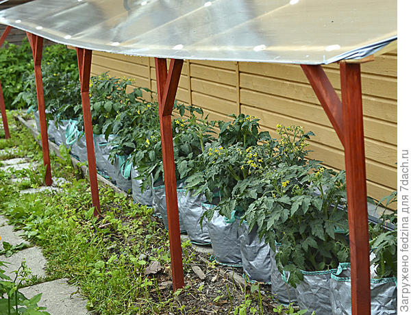 Под навесом