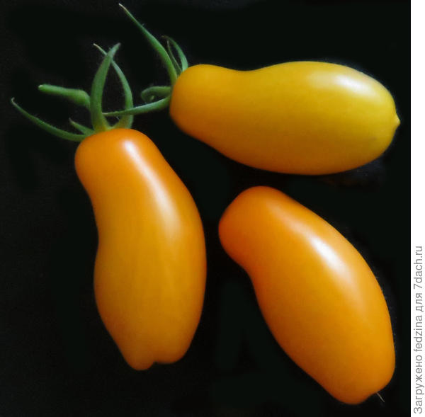 Римская ваза Боргезе