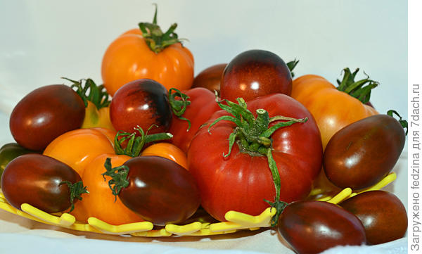 Де барао чёрный.