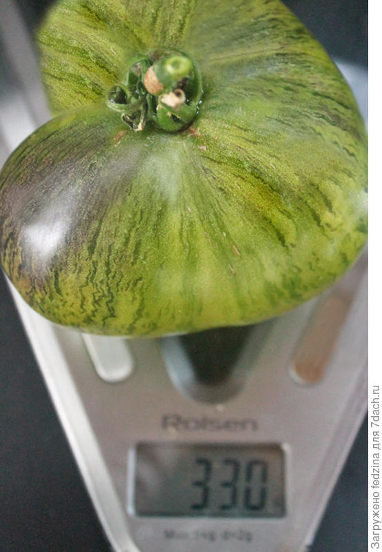 Повстанческий звездный истребитель TV 16