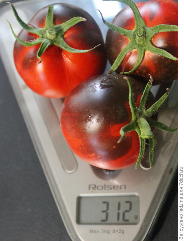 Тёмная галактика