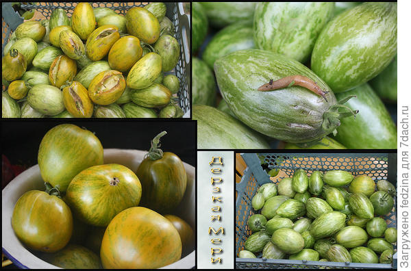 Дерзкая Мери