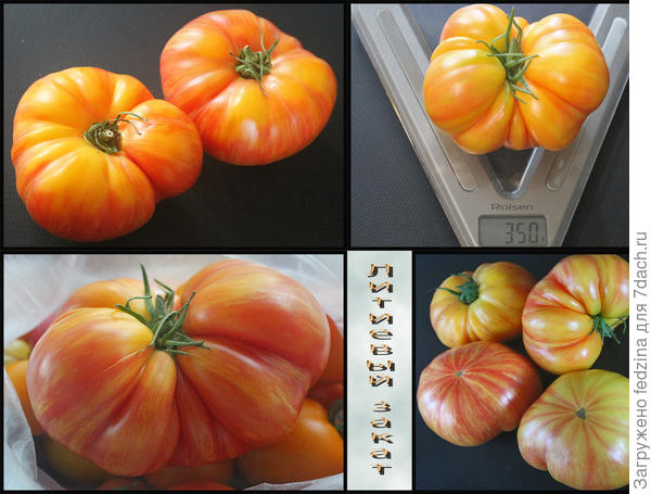 Литиевый закат