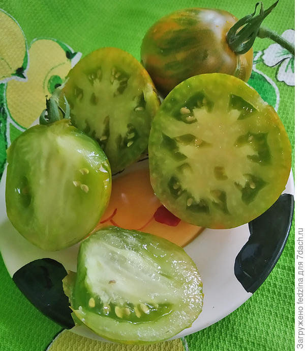 Дерзкая мери (вдоль и поперёк)