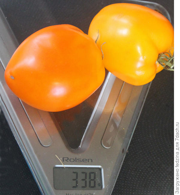 Мармелад оранжевый