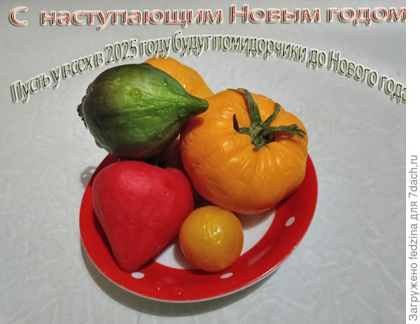 Дожившие до Нового года