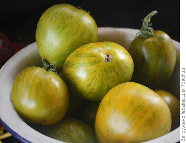 Дерзкая Мери