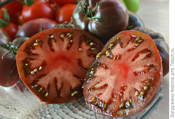 Сиреневый туман поперёк