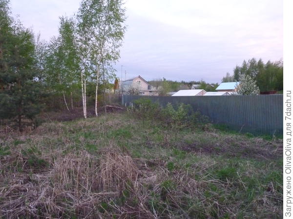 Наш участок в начале пути