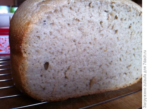 хлеб на хмелю