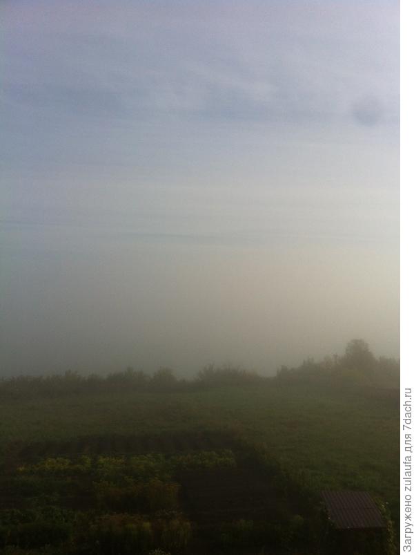 утро туманное,утро седое