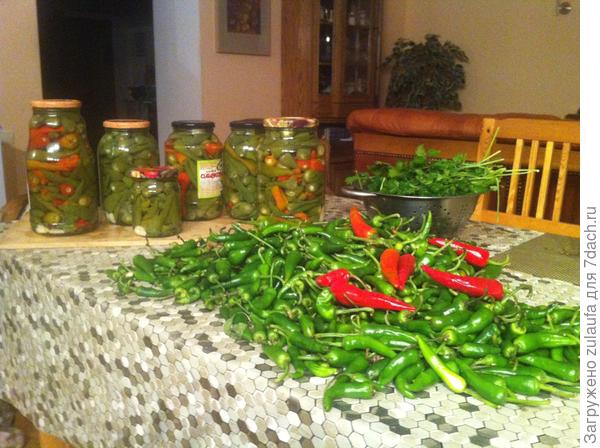 перец чили