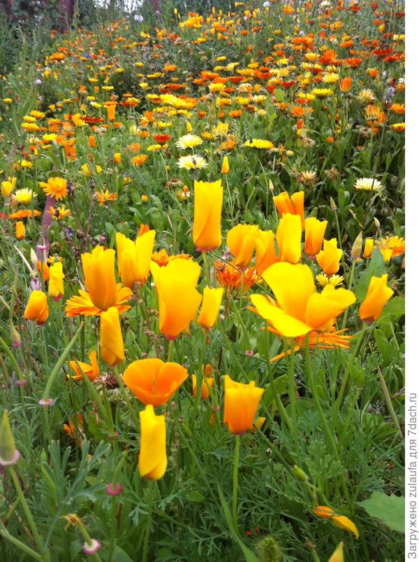 С днем рождения!