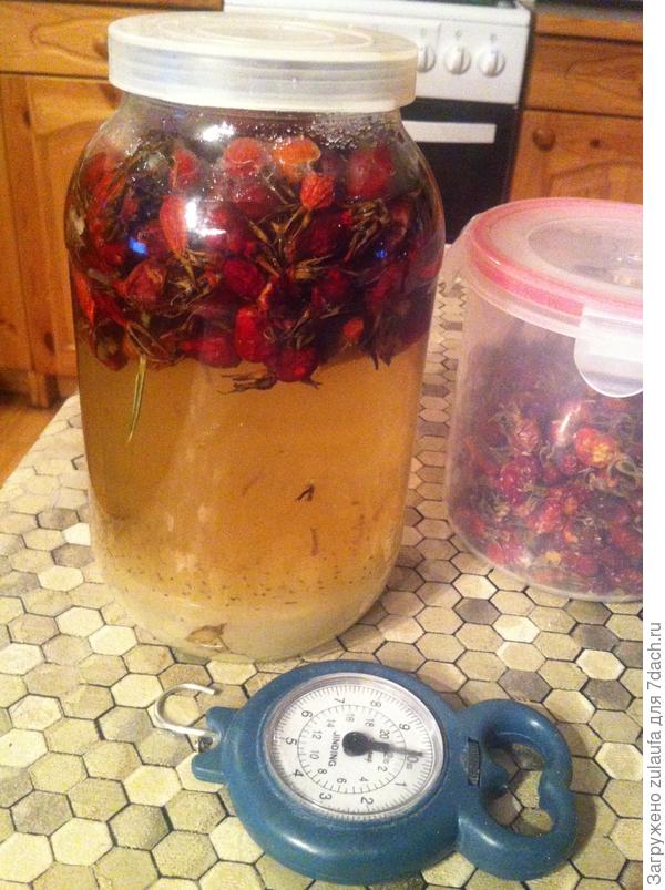 напиток из шиповника