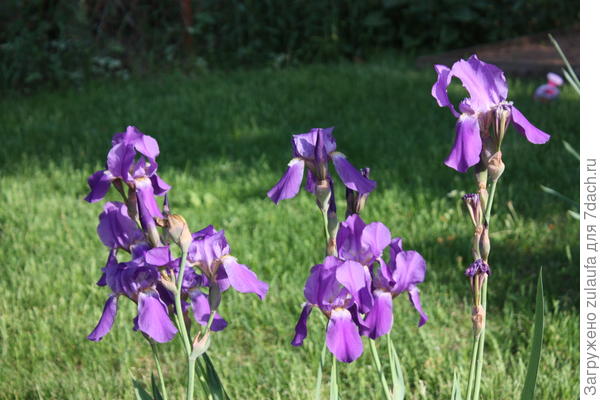 поздравляю