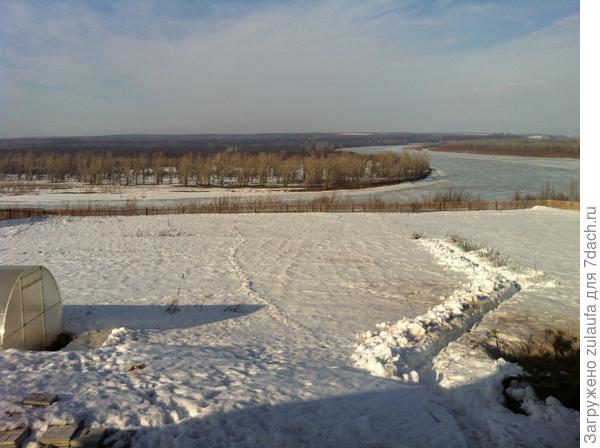 дорога к смородине