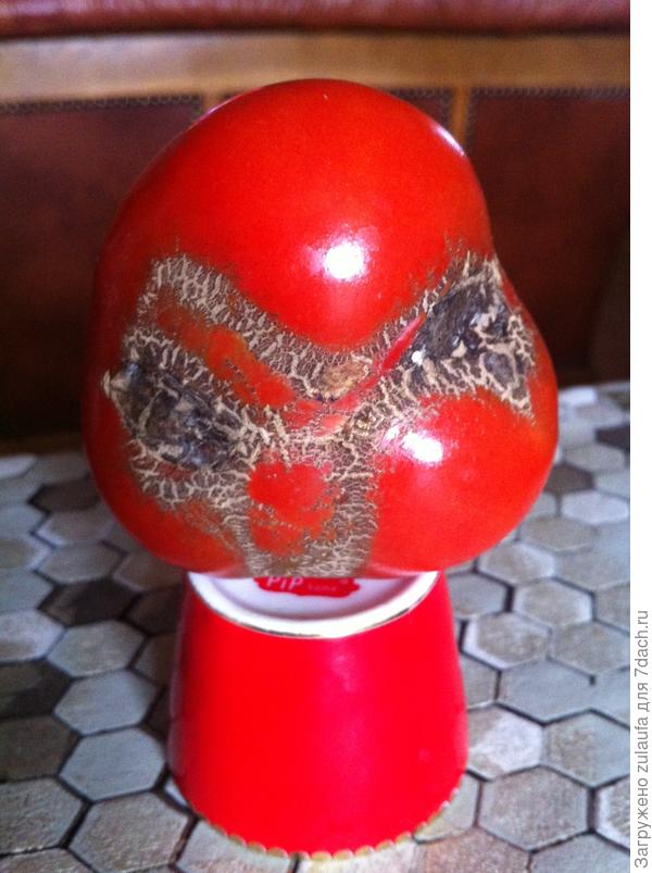 инопланетянин