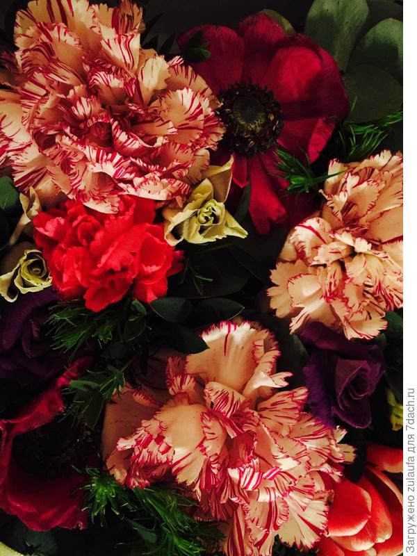 поздравляю!