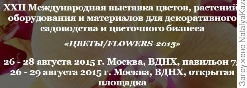 Цветы/Flowers 2015