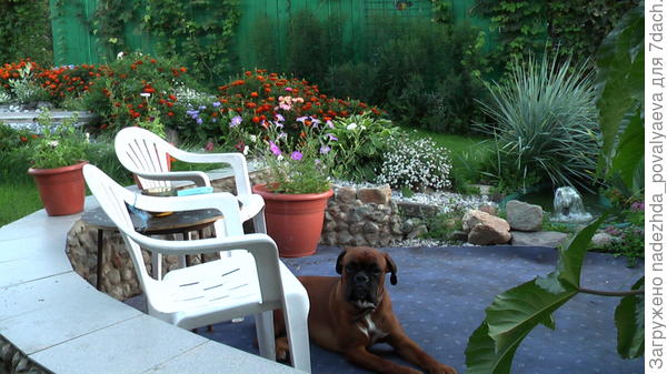 Мой любимый боксик)))