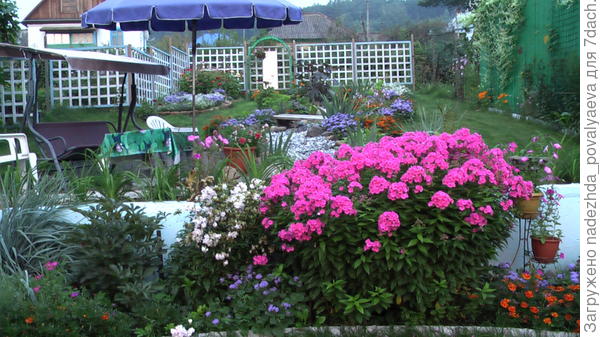 Середина августа 2013