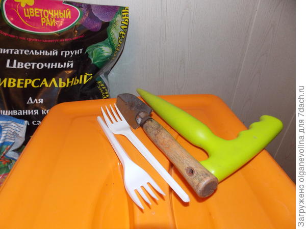 Инструменты для пикировки.