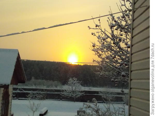 Вот наш &quot;край географии&quot;! За домом река, за рекой лес до самого Камышлова...