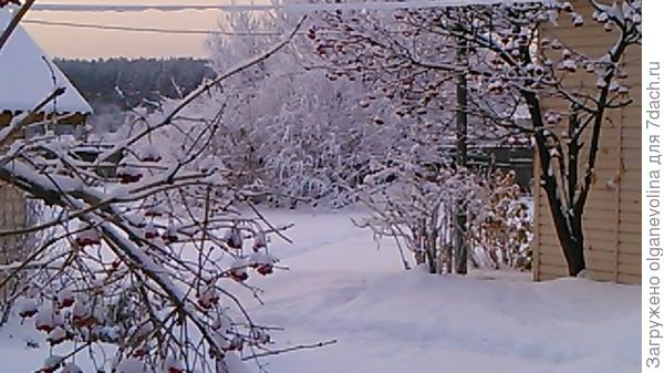В начале марта снега было немного.