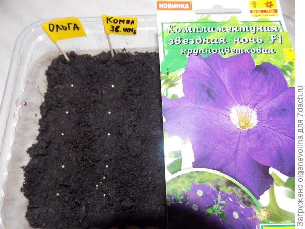 Комплиментуния Звездная ночь. Все сеянцы помечены флажками, ошибки просто не может быть.