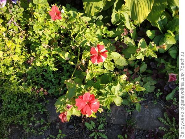 Не так пышно как летом, но ярко и празднично!