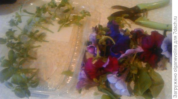 Радикально обрезала.