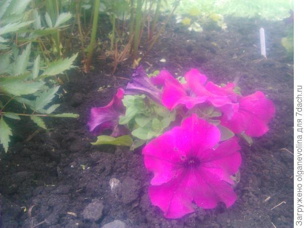 В конце июня.