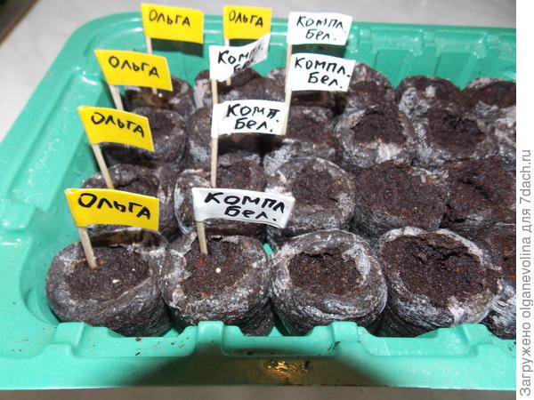 Посевы в таблетках.