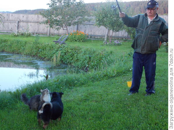 Рыбаку помогают.