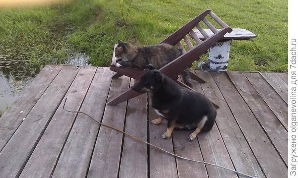 Рыбу заколдовывают.