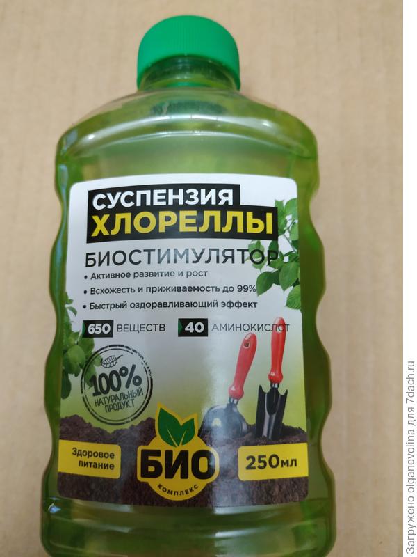 Суспензия хлореллы.