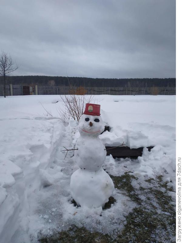 Снеговика утром сфотографировала, до дождя.