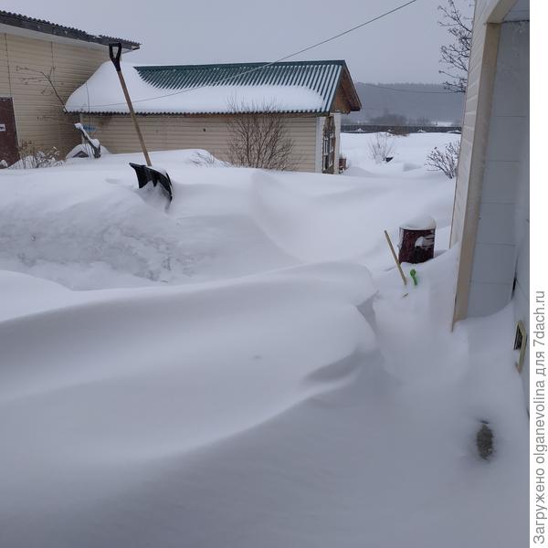 Сугробы 15.03.19.