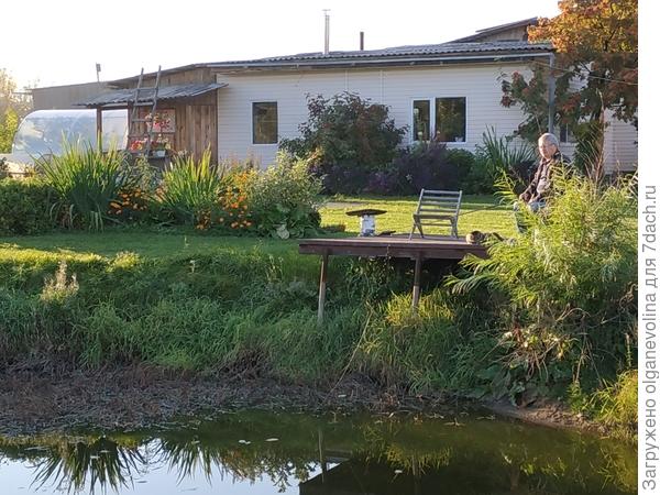 За мостиком слева - бузина в сентябре 2018 г.