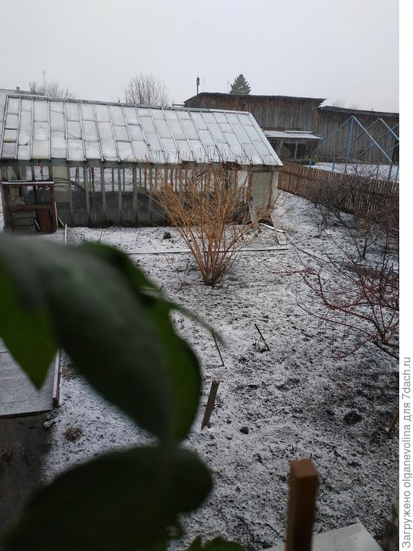 Сегодня, 27.04.19 в 18:00.